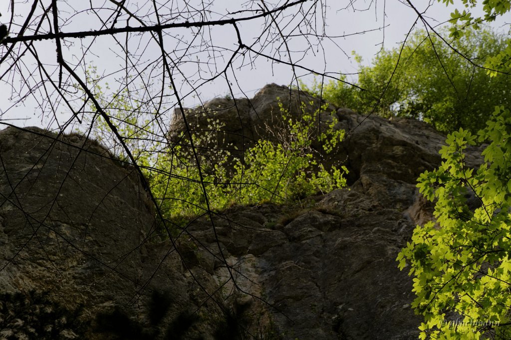 20150507_111